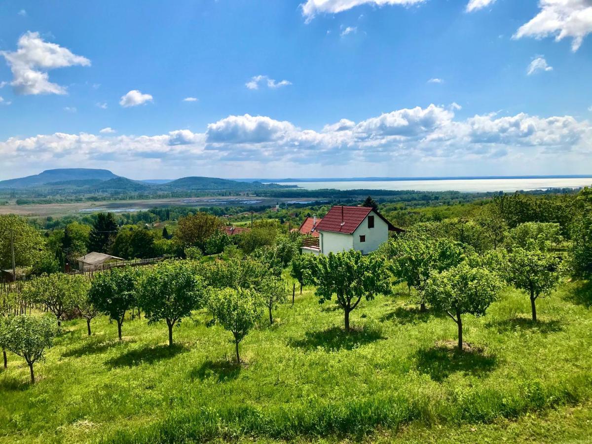 Oereghegyi Panorama Villa, *