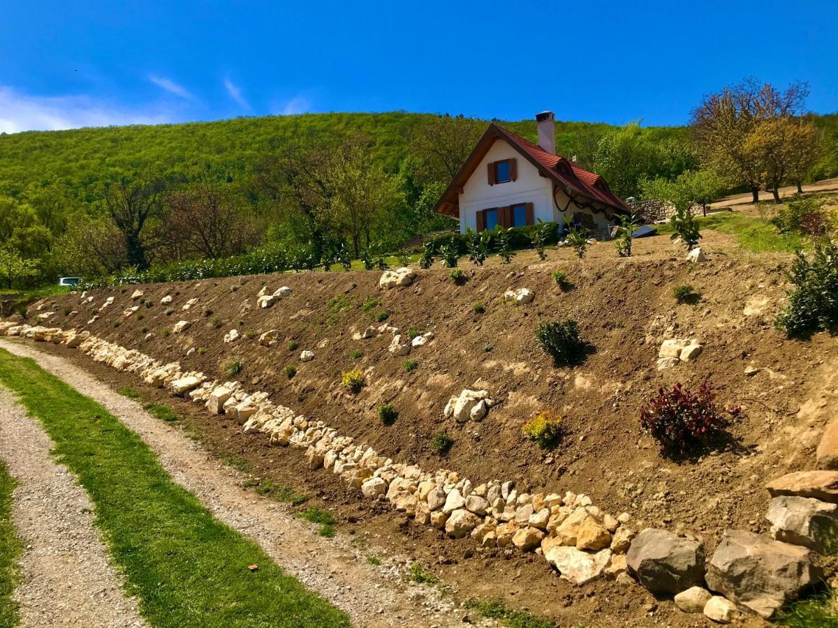 Villa öreghegyi Panoráma Villa,